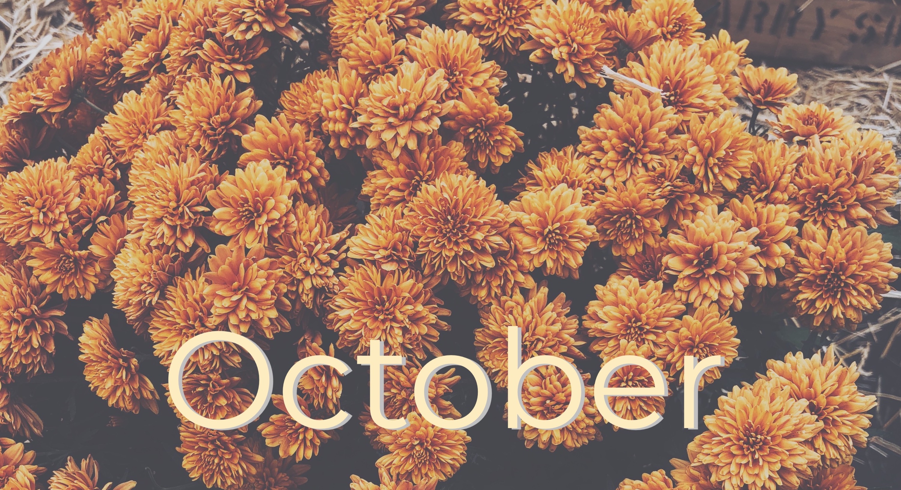 Flowers with the word October in print.