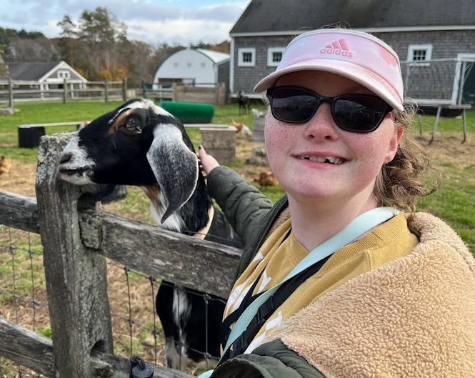 A teen reaches over a fence and pets a goat.