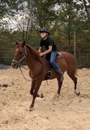 David rides a horse.