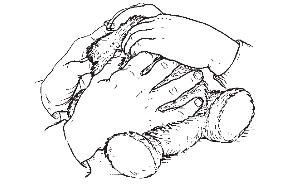 Adult hands on teddy bear. Child's hands lightly on top of adults hands, touching both the adults fingers and the teddy bear.