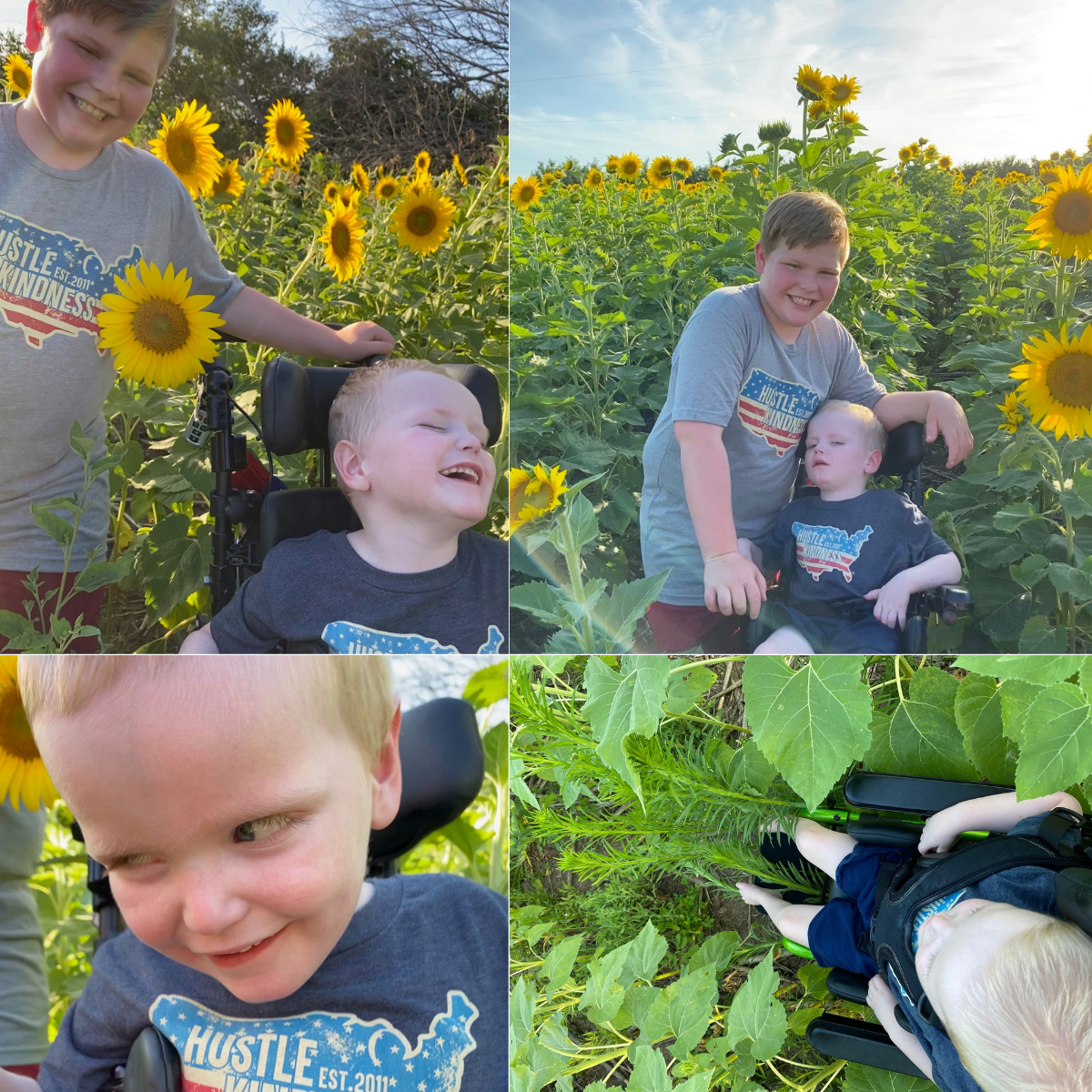 Miles and Liam in a sunflower field.