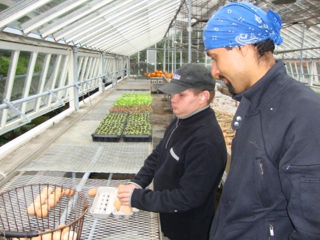 Young man on job site packing eggs. Adult standing near him.