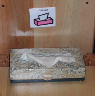 A tissue box with a label above it that shows the item and reads "tissues".