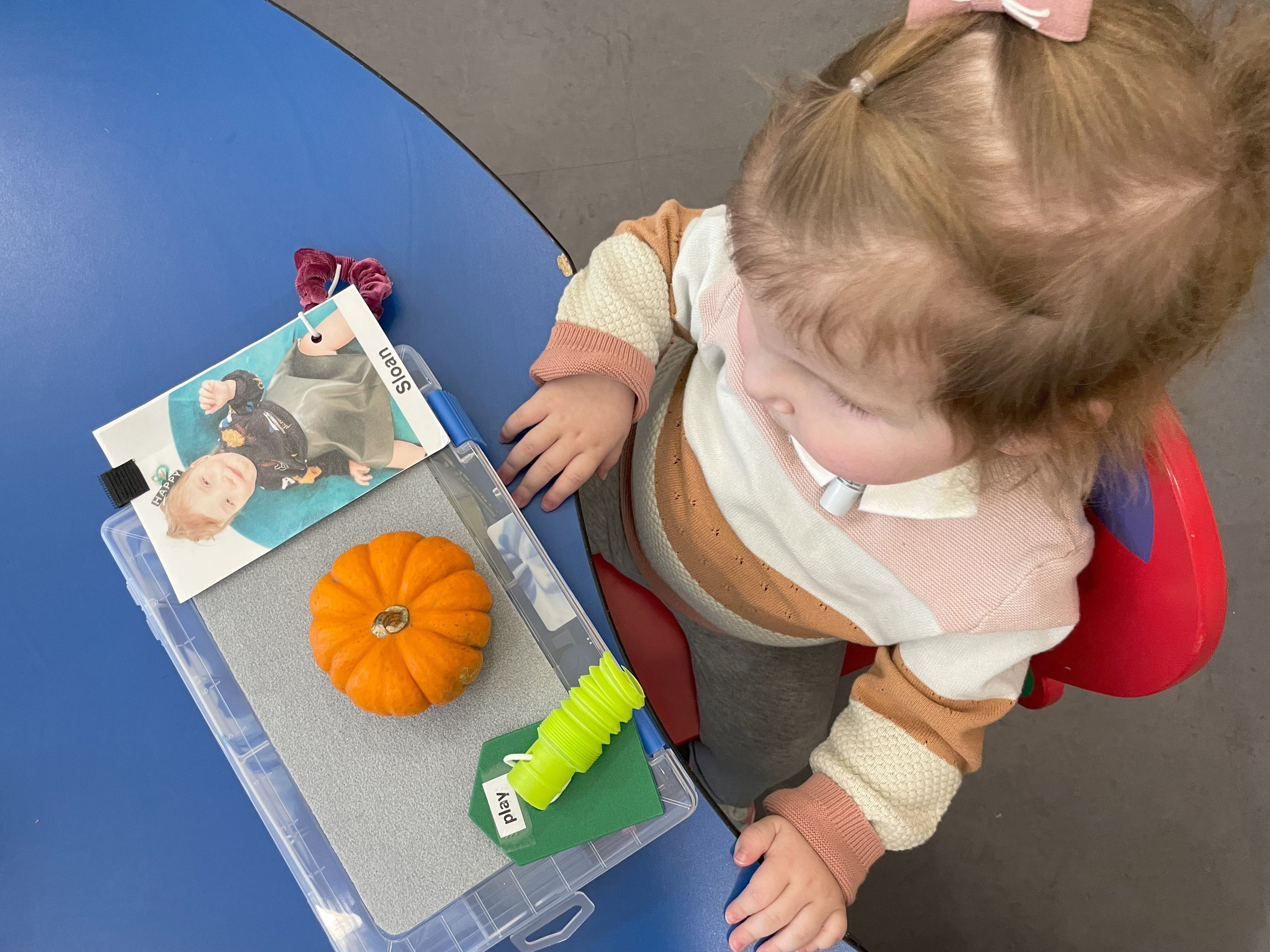 A toddler who is deafblind sits at a small desk. In front of her is a tray that holds two objects and a photo of the toddler. One of the objects is labeled “play” and the photo is labeled with the child’s name.